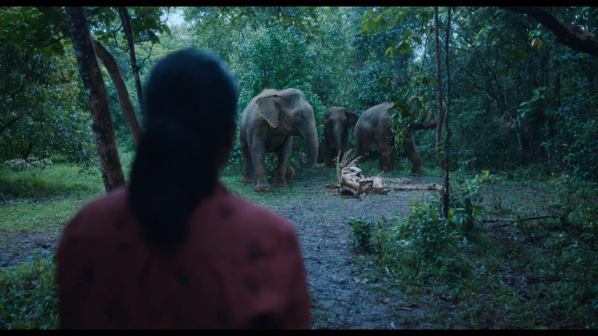 https://www.mobilemasala.com/movie-review/Poacher-review-This-series-makes-a-compelling-case-for-why-you-should-care-about-elephants-i217470