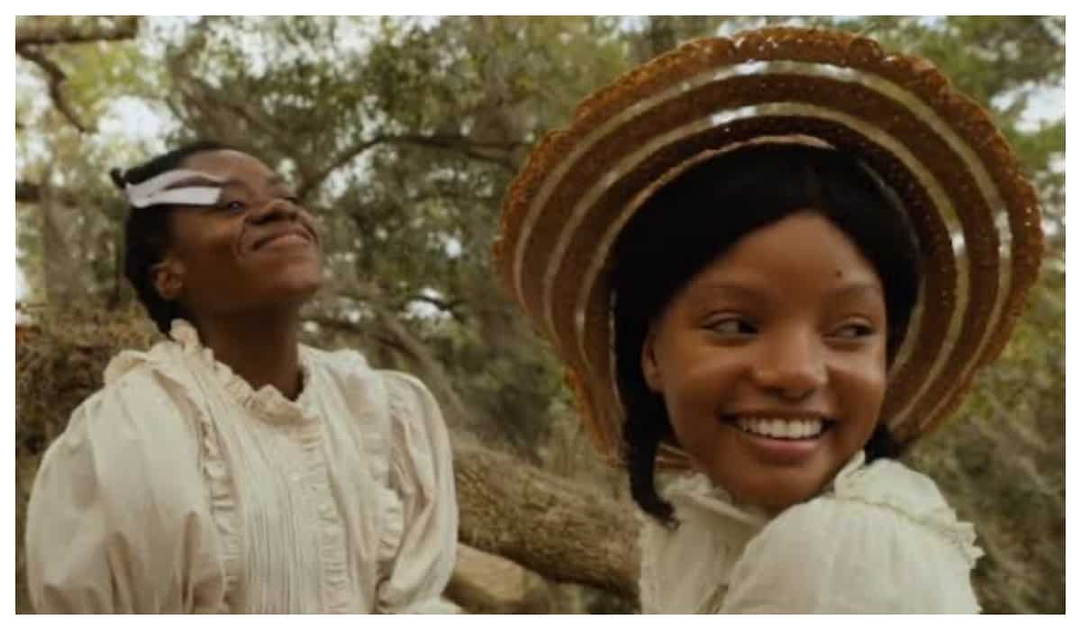 The Color Purple Plot, cast, trailer, and more