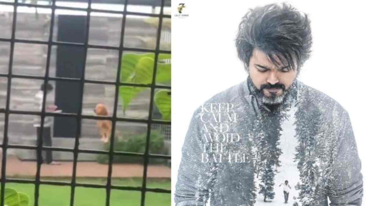 Viral video: Have you met Thalapathy Vijay's pet dog?