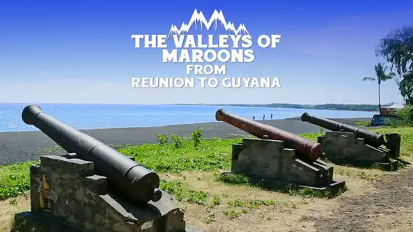 The Valleys Of Maroons  From Reunion To Guyana