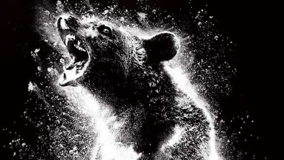 Cocaine Bear