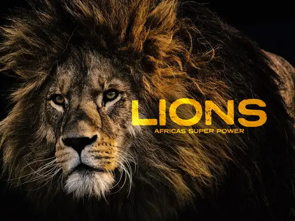 Lions: Africa's Super Power