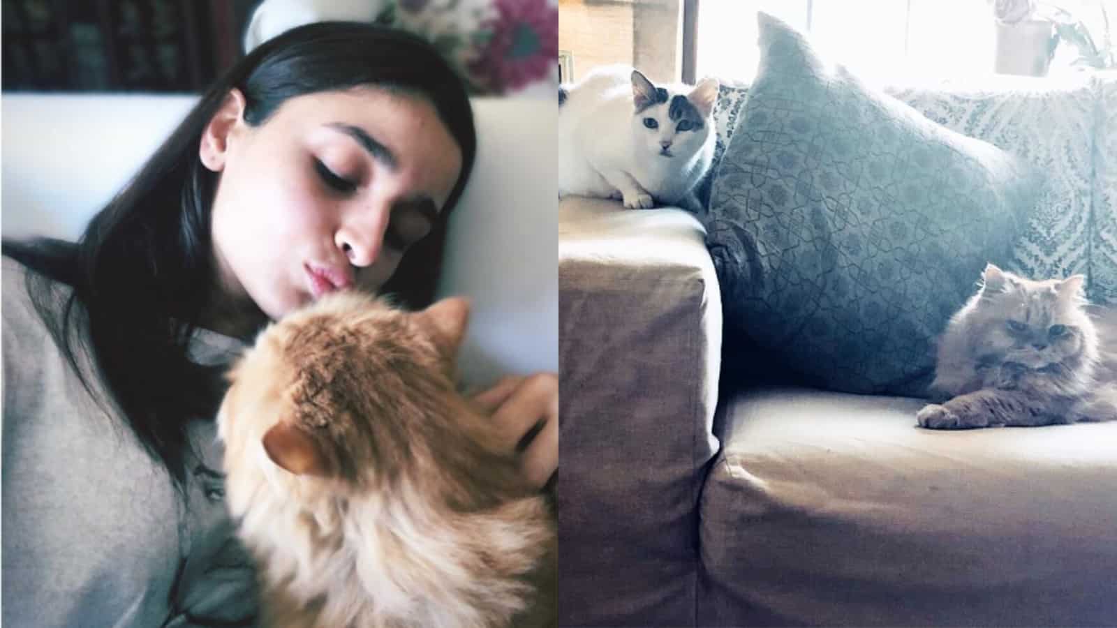 Alia Bhatt and her cat Edward