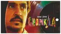 Amar Singh Chamkila OTT release date - Here's when to stream Imtiaz Ali's cinematic tribute to Punjab's rockstar on Netflix