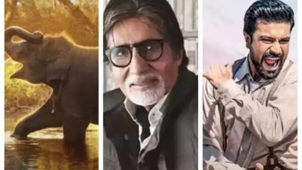 India at Oscars 2023: Amitabh Bachchan celebrates Naatu Naatu, The Elephant Whispers win