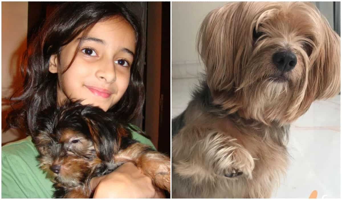 Ananya Panday’s ‘fighter’ dog Fudge dies, Call Me Bae star drops cute throwback pictures | Check out