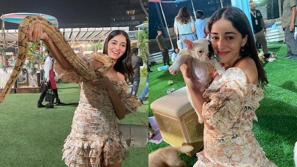 'My definition of heaven,' Ananya Panday gently holds snakes and puppies in her hands; see pics!