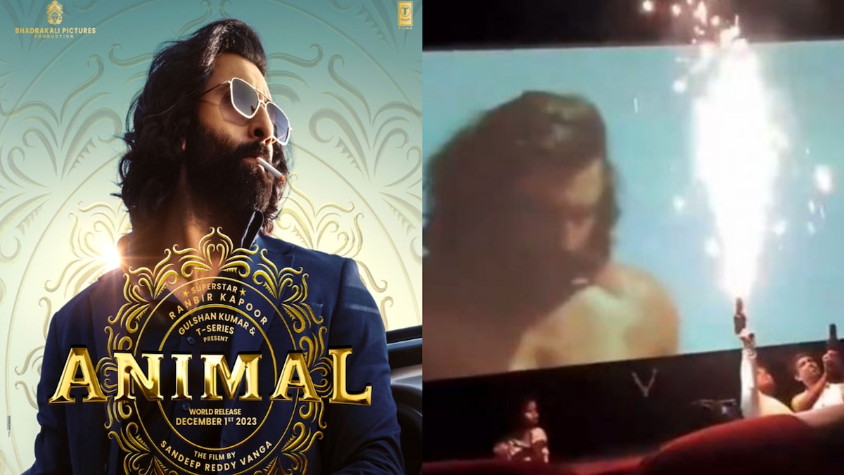 After Tiger 3, fans burst crackers inside theatres amid Animal screening | Watch
