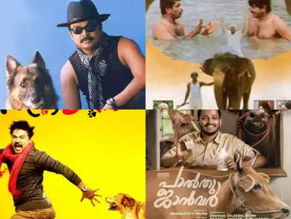 Loved watching Valatty? Here are 4 iconic Malayalam films that revolve around pets