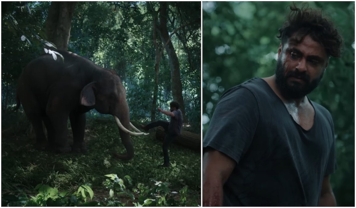 Kattalan: Antony Varghese Pepe fiercely engages in combat with a real elephant| BTS video out