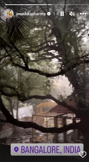 Anushka Sharma's Instagram story