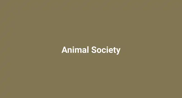 Animal Society