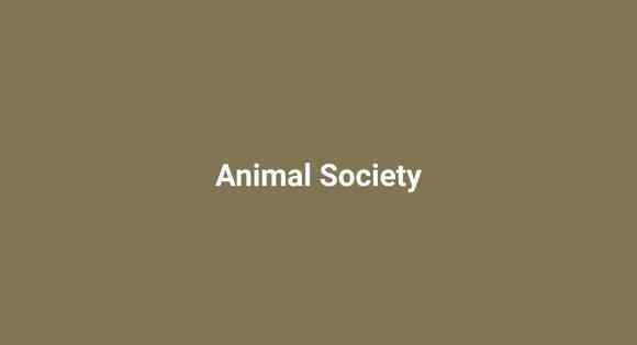 Animal Society