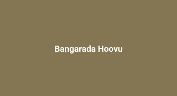 Bangarada Hoovu