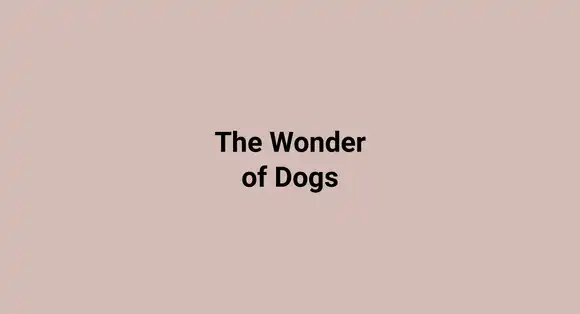 The Wonder of Dogs
