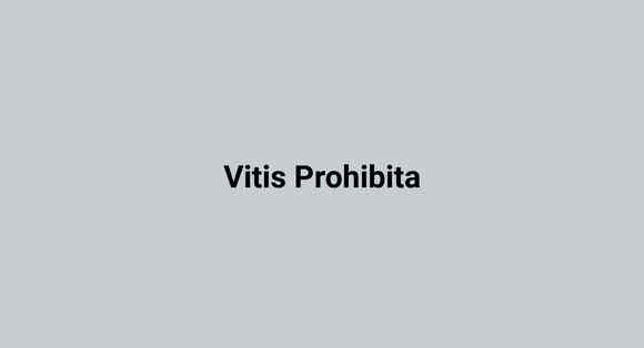 Vitis Prohibita