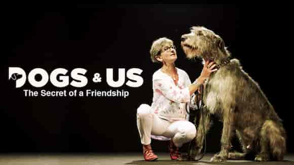 Dogs And Us: The Secret Of Our Friendship