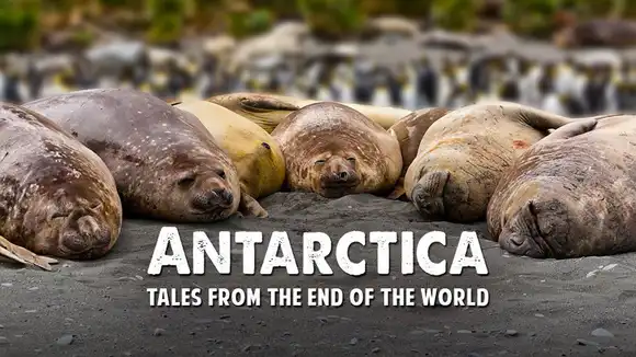 ANTARCTICA - TALES FROM THE END OF THE WORLD