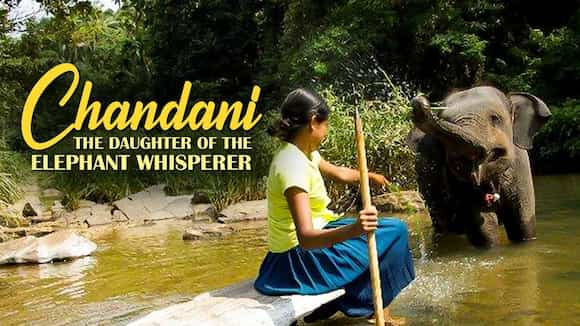 Chandani - The Daughter of the Elephant Whisperer