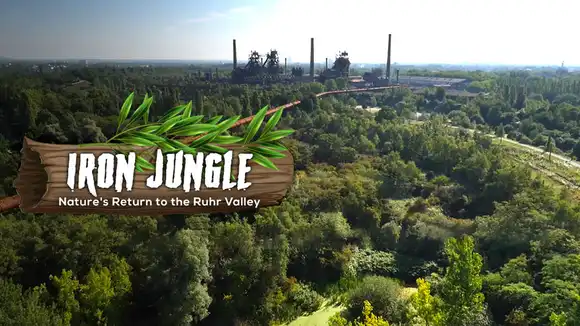 Iron Jungle - Nature's Return to the Ruhr Valley