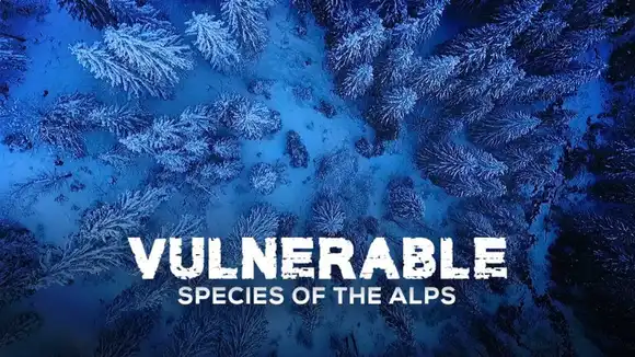 Vulnerable Species of the Alps