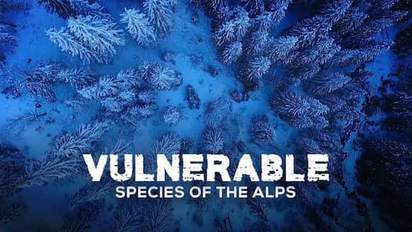 Vulnerable Species of the Alps