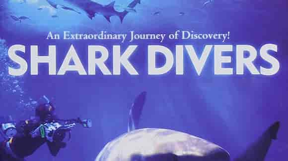 Shark Divers