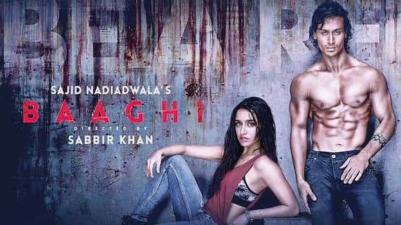 Baaghi: Rebels In Love