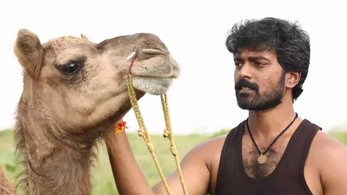 https://www.mobilemasala.com/movies/Bakrid-OTT-release-date-When-and-where-to-watch-Kannada-dubbed-version-of-2019-tale-of-a-camels-journey-home-i256920