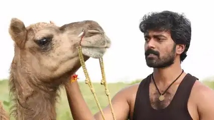 Bakrid OTT release date: When and where to watch Kannada-dubbed version of 2019 tale of a camel's journey home