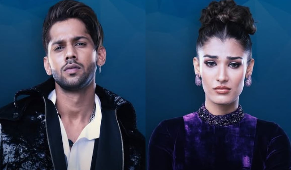Bigg Boss 19 Double Eliminations: Days after closeness, Baseer Ali and Nehal Chudasama get evicted from Salman Khan's show