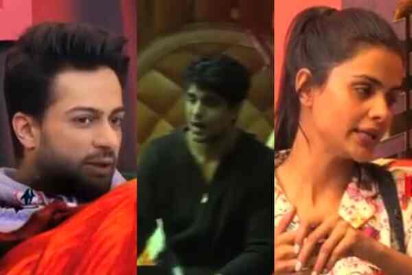 Bigg Boss 16 November 1 Written Update: Shalin, Priyanka get into a HUGE fight; Priyanka-Ankit’s relationship is marred