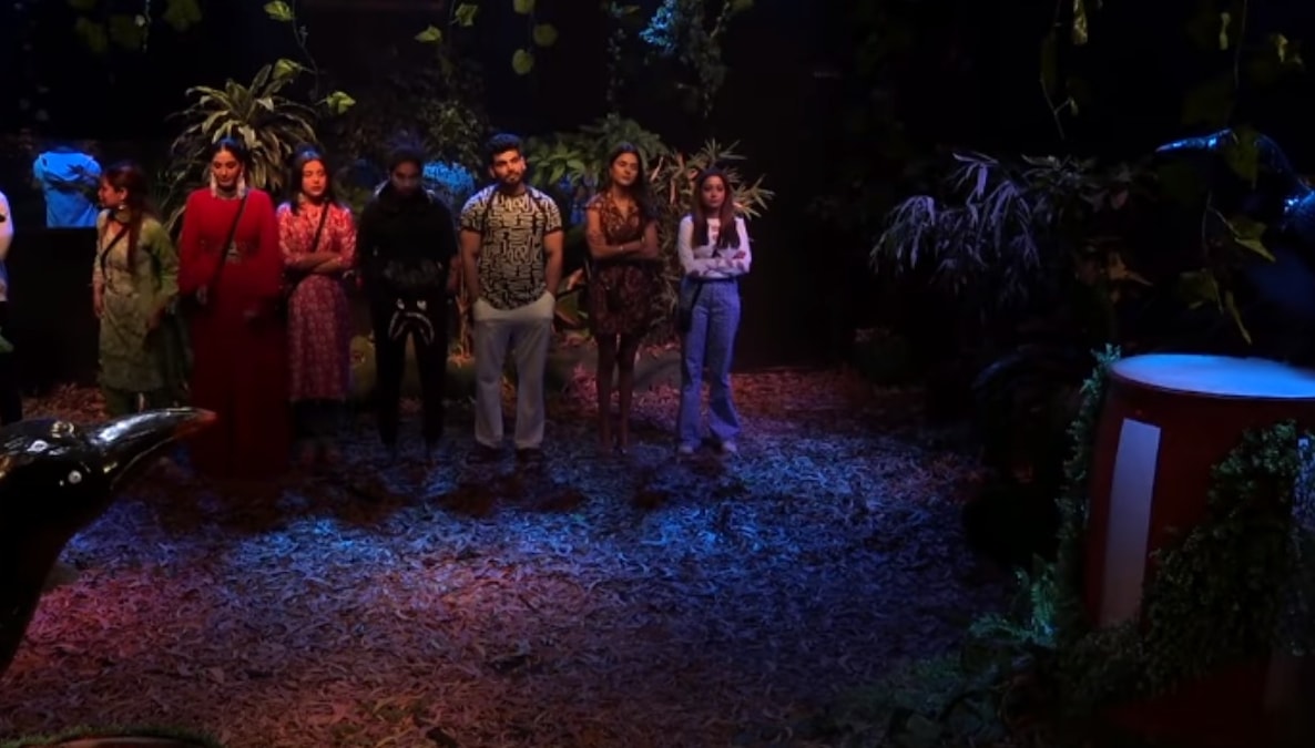 Bigg Boss 16 January 25, 2023 Written Update: Priyanka, Tina, Shalin and Shiv get nominated for the week