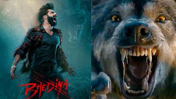 Opinion | Varun Dhawan's Bhediya on OTT: The importance of size in a werewolf film