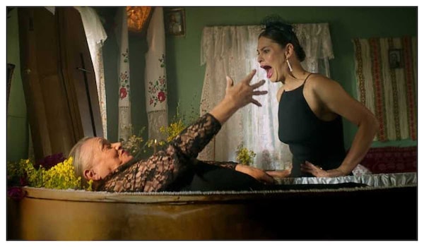 No Pressure OTT release date – Watch the Polish romantic comedy featuring hilarious farm misadventures on THIS platform