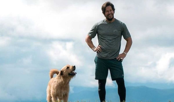 Arthur the King actor Mark Wahlberg reflects on his bond with canine co-star, calls it 'remarkable experience'