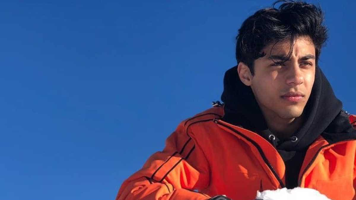 Stardom - Here's when Aryan Khan's directorial debut is expected to release on OTT