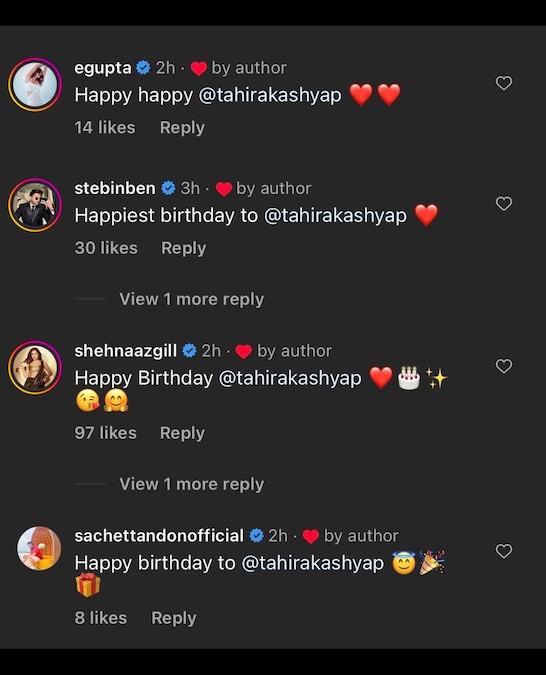 Ayushmann Khurrana wishes wife Tahira on her birthday by sharing drop