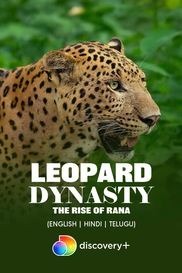 Leopard Dynasty - The Rise of Rana