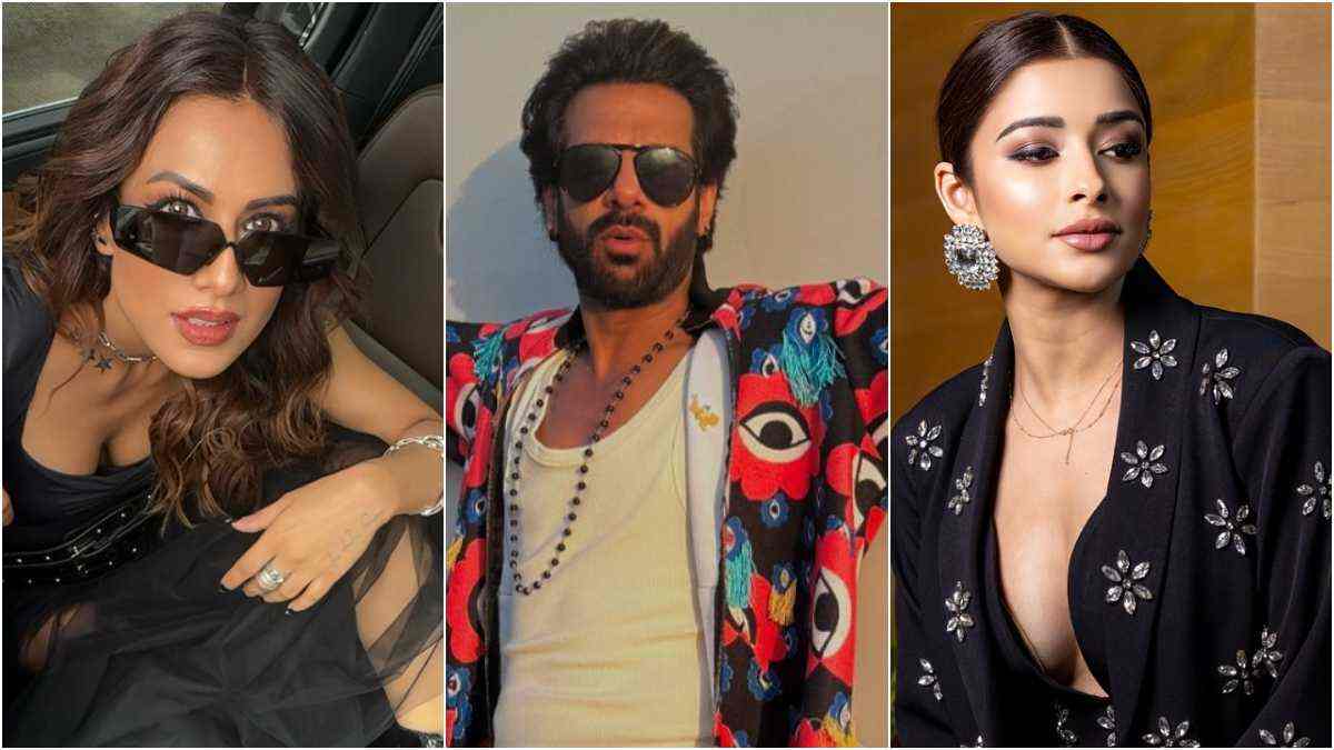 Bigg Boss 18 contestants list: From Karan Veer Mehra to Nia Sharma, meet participants of Salman Khan's show