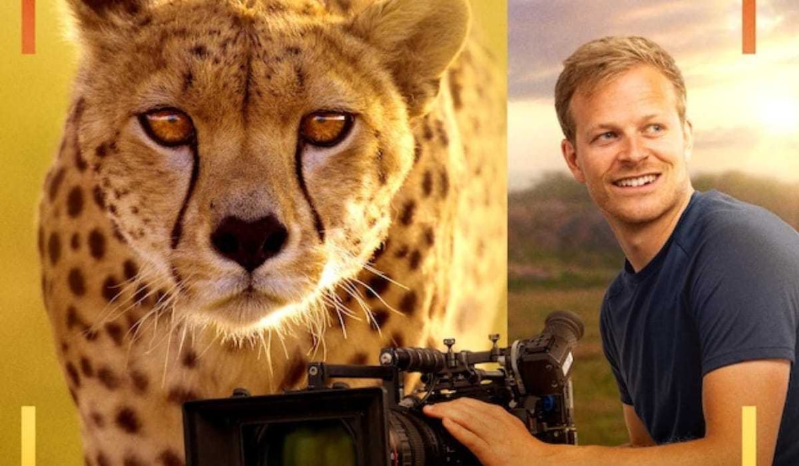 Cheetahs Up Close OTT release date in India: When and where to watch Bertie Gregory's wildlife documentary?