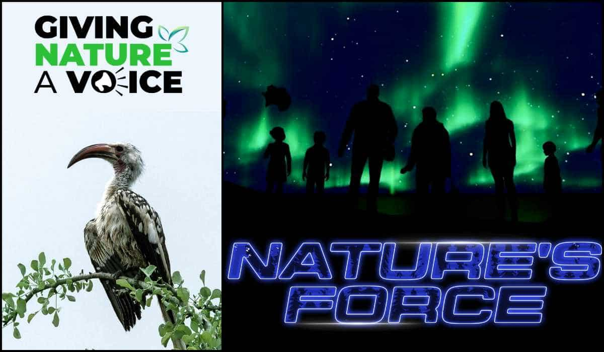 Journey Through Nature DocuBay's mustwatch documentaries for World