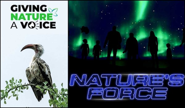 Journey Through Nature - DocuBay's must-watch documentaries for World Environment Day 2024