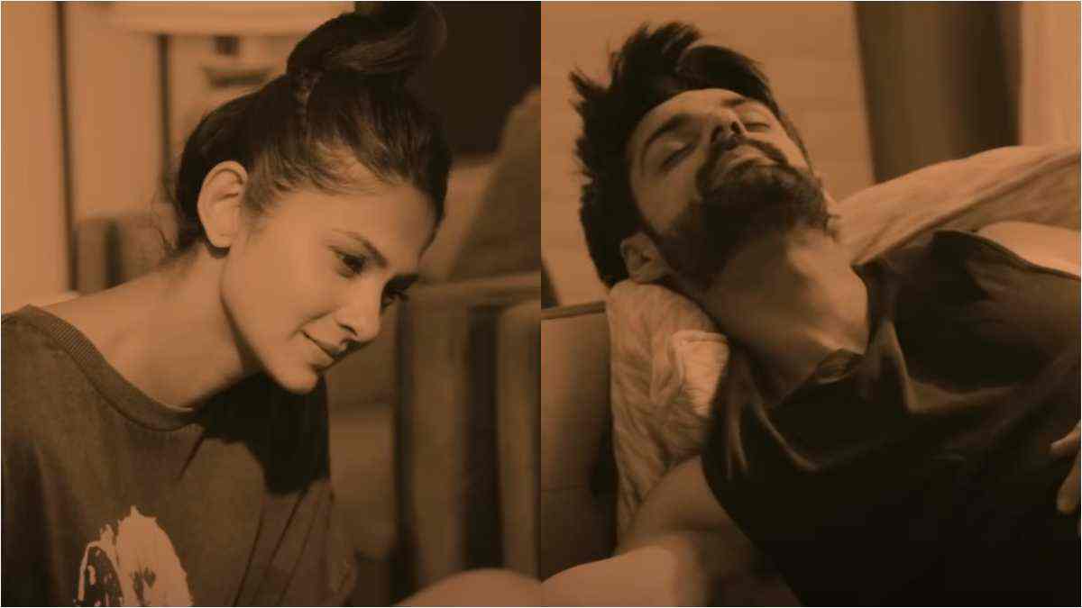 Raisinghani vs Raisinghani - Here's why Karan Wahi said only he has the 'right' to irritate Jennifer Winget