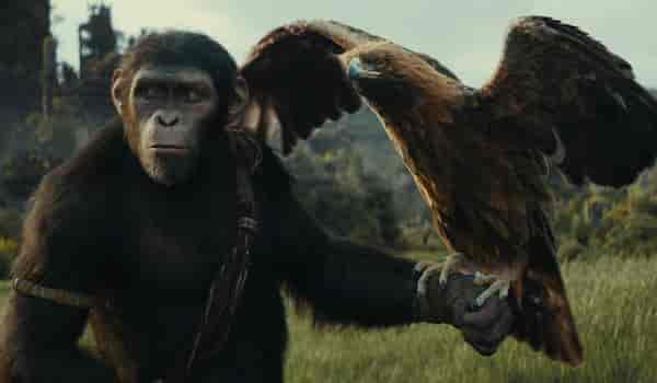 Kingdom of the Planet of the Apes OTT release date: Here's when and where you can stream sci-fi action film