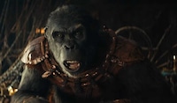 Kingdom of the Planet of the Apes trailer review - Apes and humans clash, revealing an epic journey amid civilisational shifts