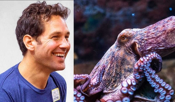 Secrets of the Octopus OTT release date - Watch Paul Rudd’s new National Geographic mini-series on THIS platform