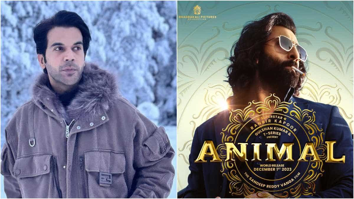 Rajkummar Rao admits he liked Ranbir Kapoor's Animal; defends the film by saying 'it is not called...'