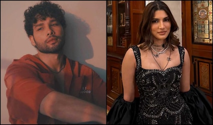 Vikas Bahl sets 1990s UK Punjabi musical with Siddhant Chaturvedi and Alizeh Agnihotri