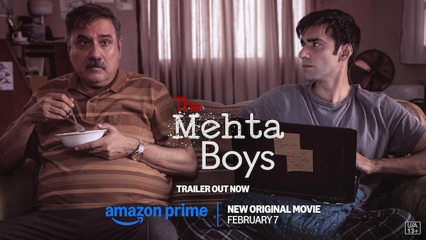 The Mehta Boys poster